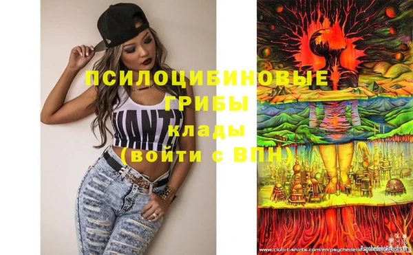 молекула духа Навашино