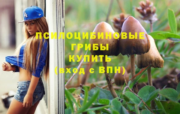 марки lsd Надым