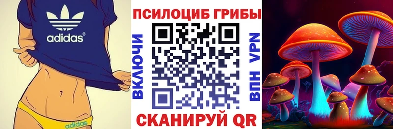 гидра как войти  Севастополь  Галлюциногенные грибы прущие грибы  как найти закладки 