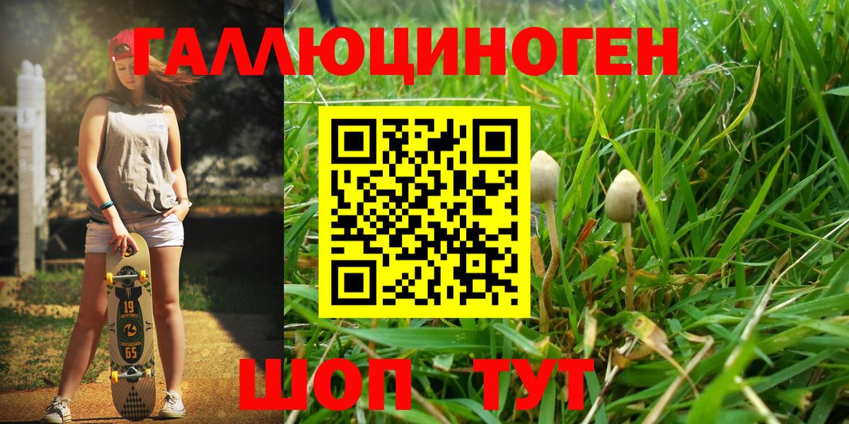 Псилоцибиновые грибы мицелий Севастополь