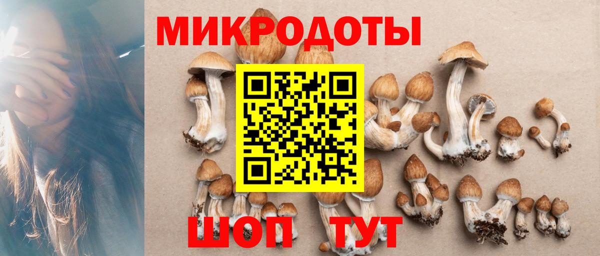 Галлюциногенные грибы MAGIC MUSHROOMS  Севастополь  Псилоцибиновые грибы Psilocybine cubensis 